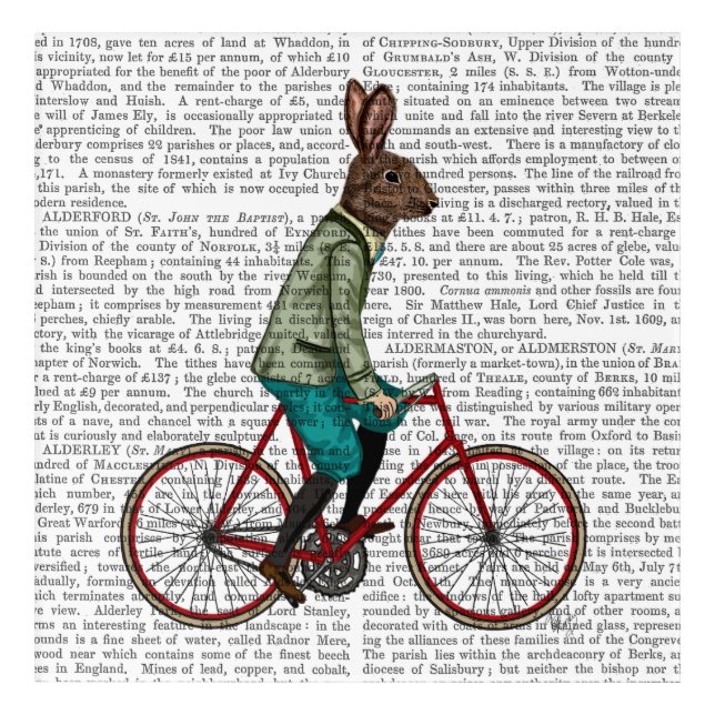 Rabbit On Bike Acrylic Print (Front)