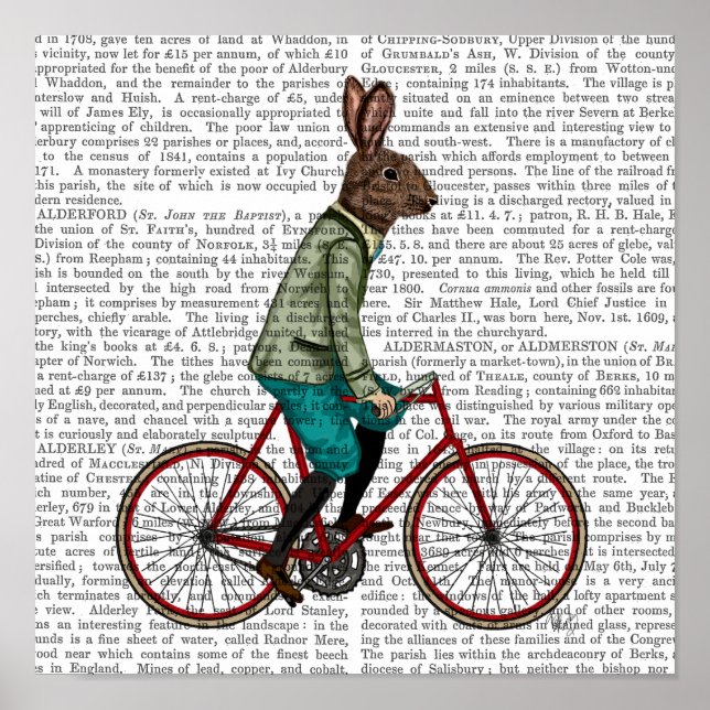 Rabbit On Bike Poster (Front)