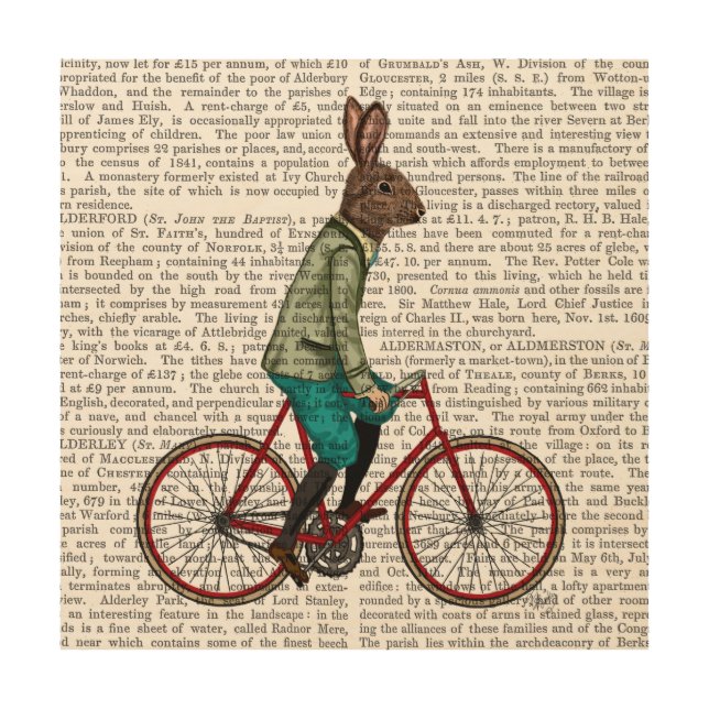 Rabbit On Bike Wood Wall Art (Front)
