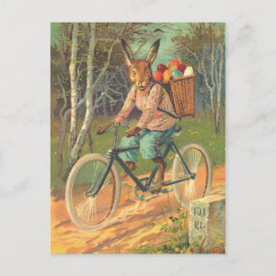Rabbit on his bicycle delivering eggs ! postcard