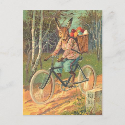 Rabbit on his bicycle delivering eggs  postcard