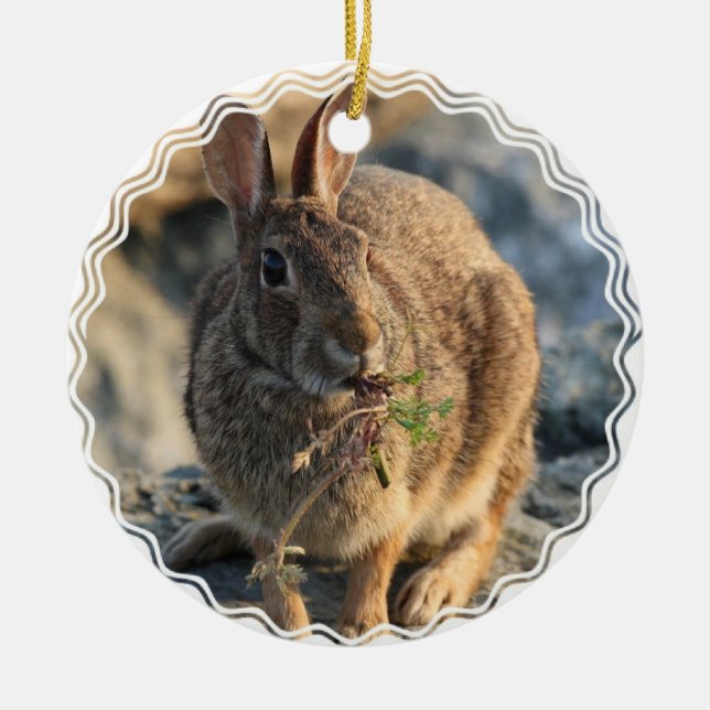 Rabbit Ornament (Front)