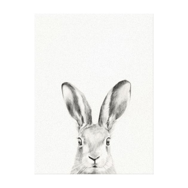 Cute Rabbit Drawing at GetDrawings HD wallpaper | Pxfuel