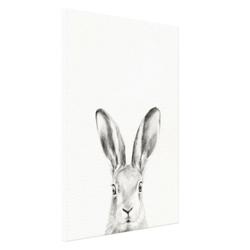 Rabbit Pencil Drawing Canvas Print | Zazzle