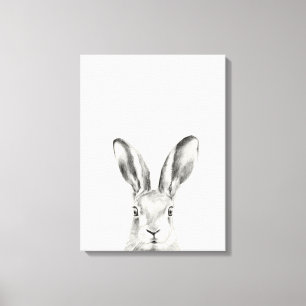 Rabbit Pencil Drawing Canvas Print