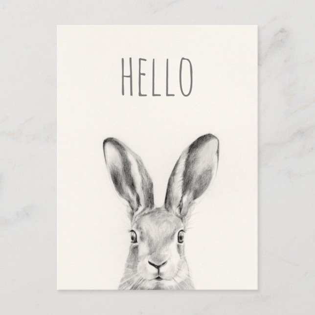 Rabbit Pencil Drawing - Hello Postcard (Front)