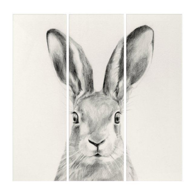 Rabbit Pencil Drawing Triptych (Front)