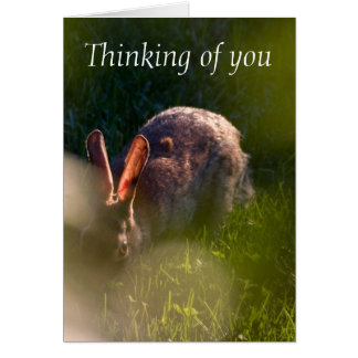 Rabbit Sympathy Cards | Zazzle