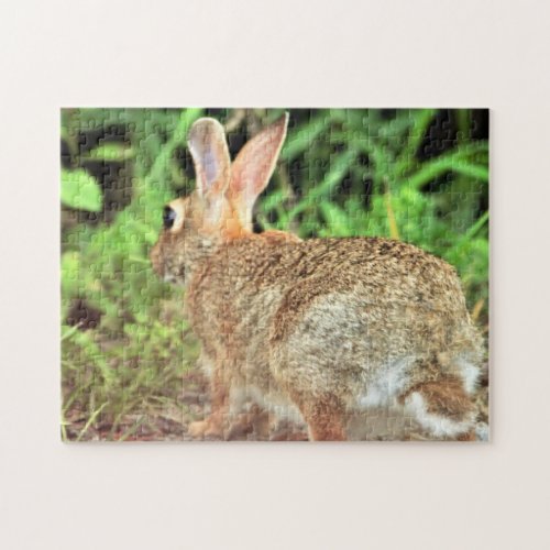 Rabbit Photo Jigsaw Puzzle