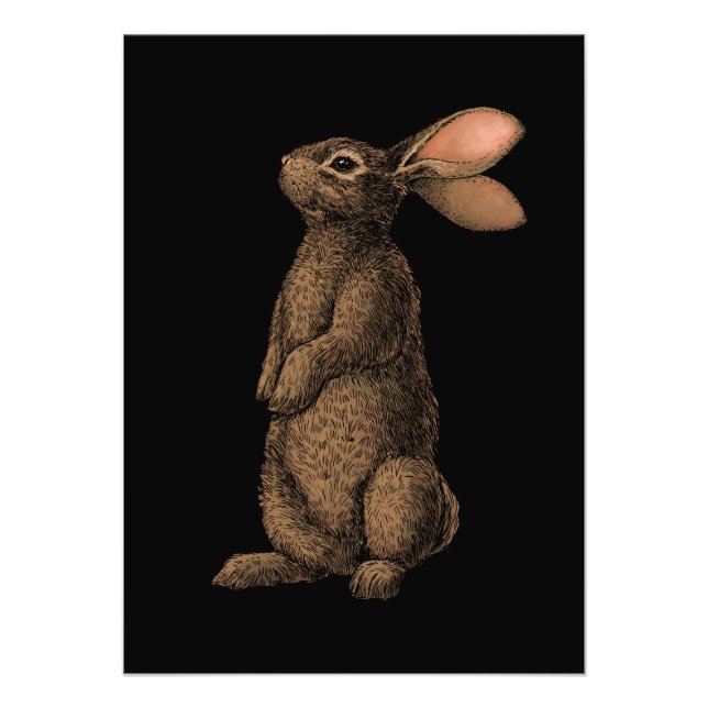Rabbit Photo Print (Front)