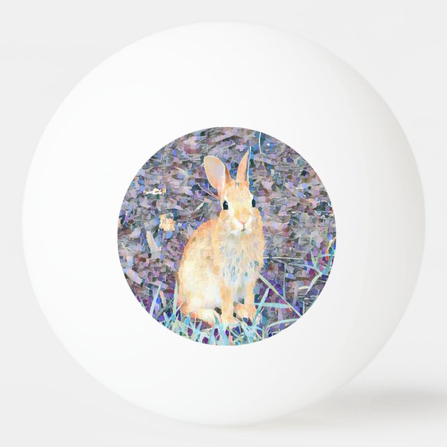 Rabbit  ping pong ball (Front)