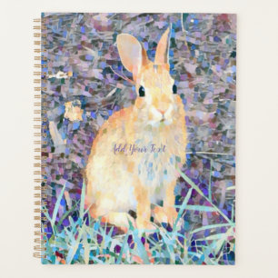 Rabbit Planner