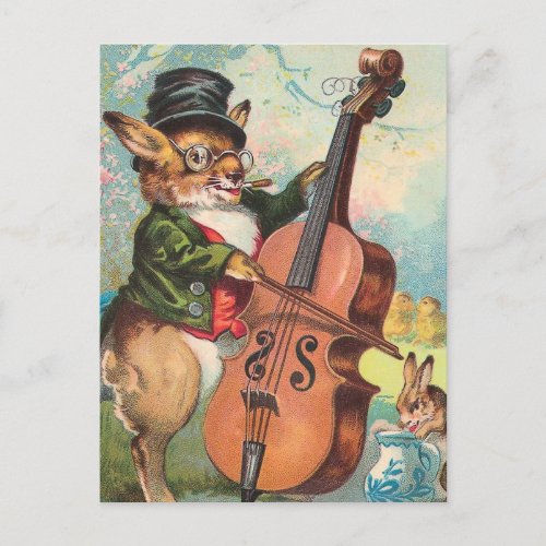 Rabbit Playing the Cello Vintage Postcard