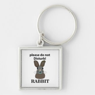 Rabbit Please Do Not Disturb Funny Rabbit