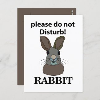 Rabbit Please Do Not Disturb Funny Rabbit