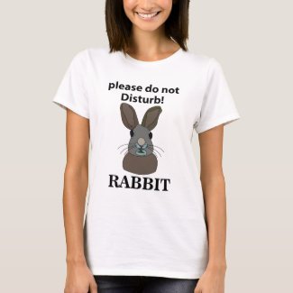 Rabbit Please Do Not Disturb Funny Rabbit