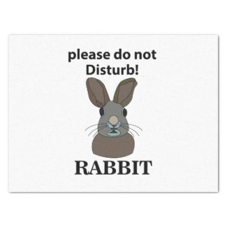 Rabbit Please Do Not Disturb Funny Rabbit