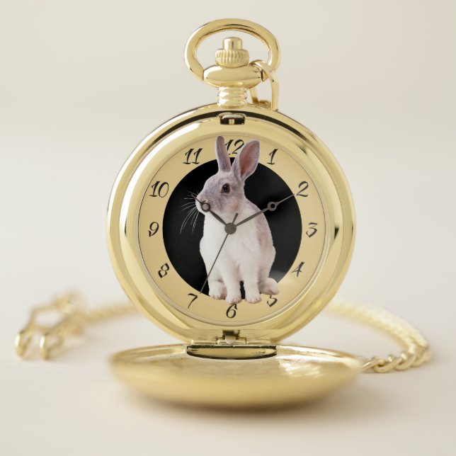 RABBIT POCKET WATCH (Inside)