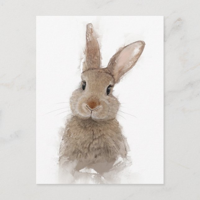 Rabbit Portrait 40 Postcard (Front)