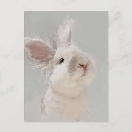 Rabbit Portrait No35 Postcard