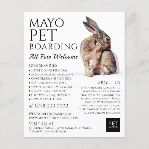 Rabbit Portrait Pet Boarding Advertising Flyer