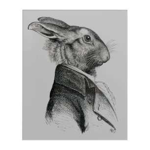 Rabbit Portrait Profile Acrylic Print