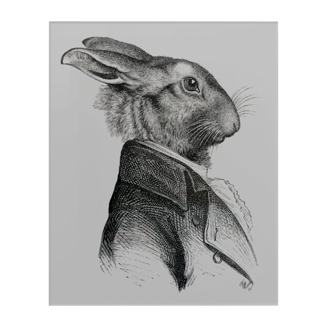 Rabbit Portrait Profile Acrylic Print (Front)
