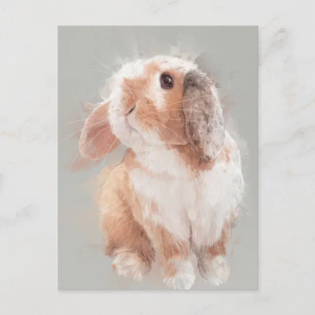 Rabbit Postcard No.30 | Zazzle