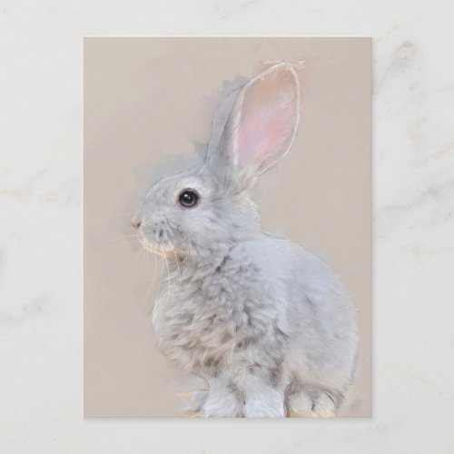 Rabbit Postcard No31