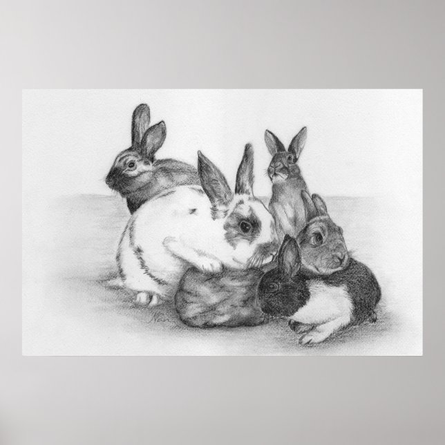 Rabbit Poster (Front)