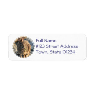 Rabbit Return Address Label