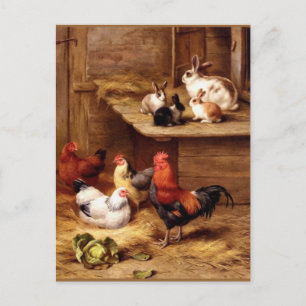 Rabbit rooster hens farm animals bunnies postcard