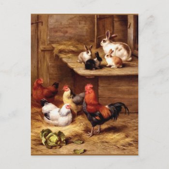 Rabbit Rooster Hens Farm Animals Bunnies Postcard by EDDESIGNS at Zazzle
