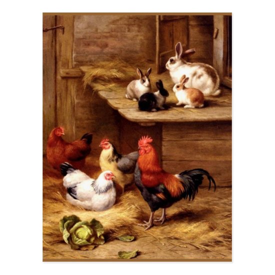 Rabbit rooster hens farm animals bunnies postcard