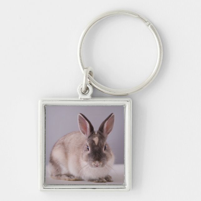 rabbit,simple background,animal,white table, keychain (Front)