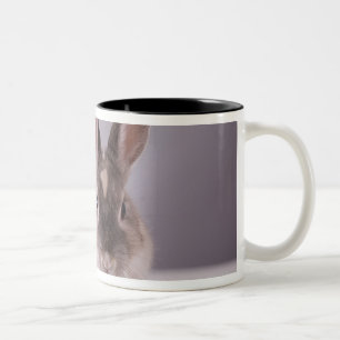 rabbit,simple background,animal,white table, Two-Tone coffee mug