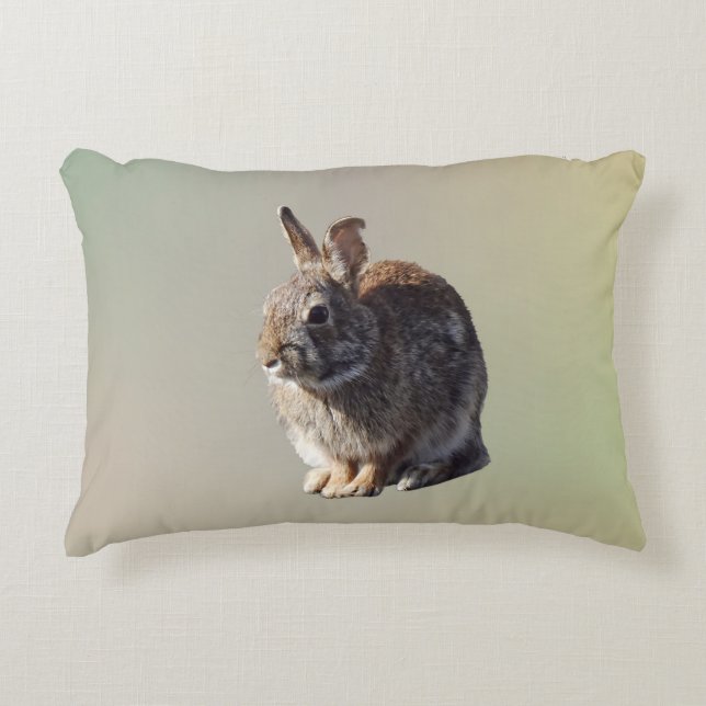 Rabbit Sitting Accent Pillow (Front)