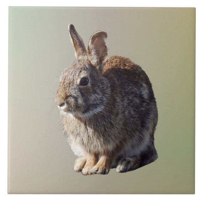 Rabbit Sitting Ceramic Tile (Front)