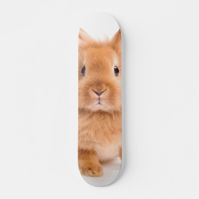 Rabbit Skateboard Deck (Front)