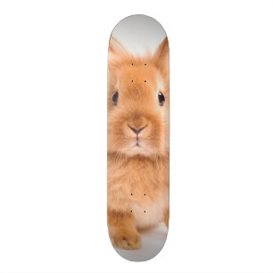Rabbit Skateboard Deck