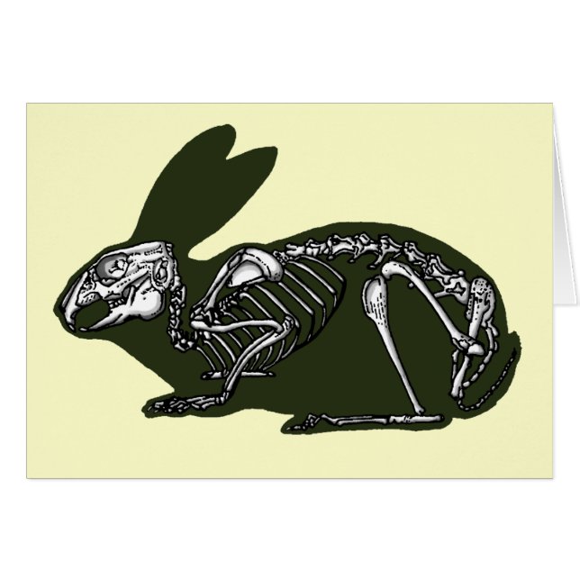 rabbit skeleton cards (Front Horizontal)