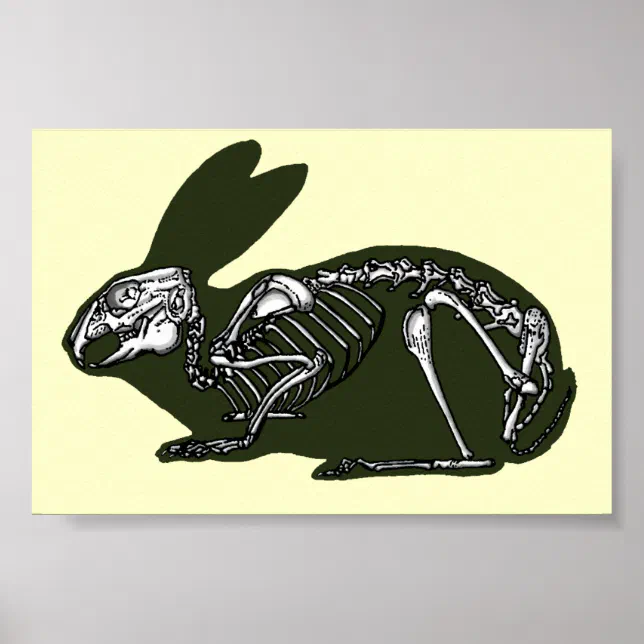 rabbit skeleton poster | Zazzle