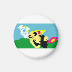 Rabbit spring   magnet