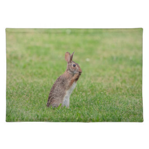 Rabbit standing in the grass and looking shy cloth placemat