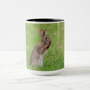 Rabbit standing in the grass and looking shy mug