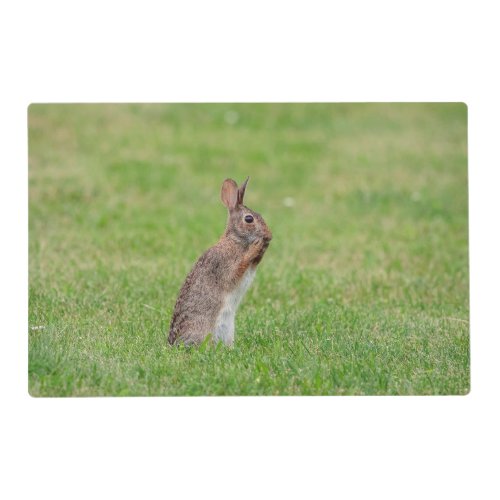 Rabbit standing in the grass and looking shy placemat