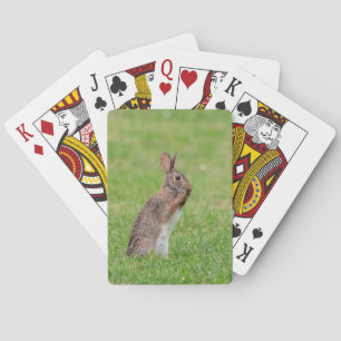 Rabbit standing in the grass and looking shy poker cards