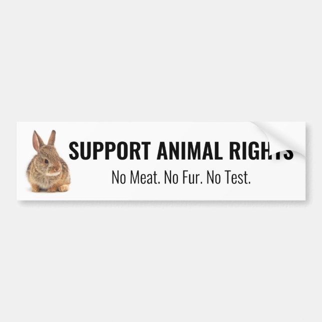 Rabbit Support Animal Rights Bumper Sticker (Front)