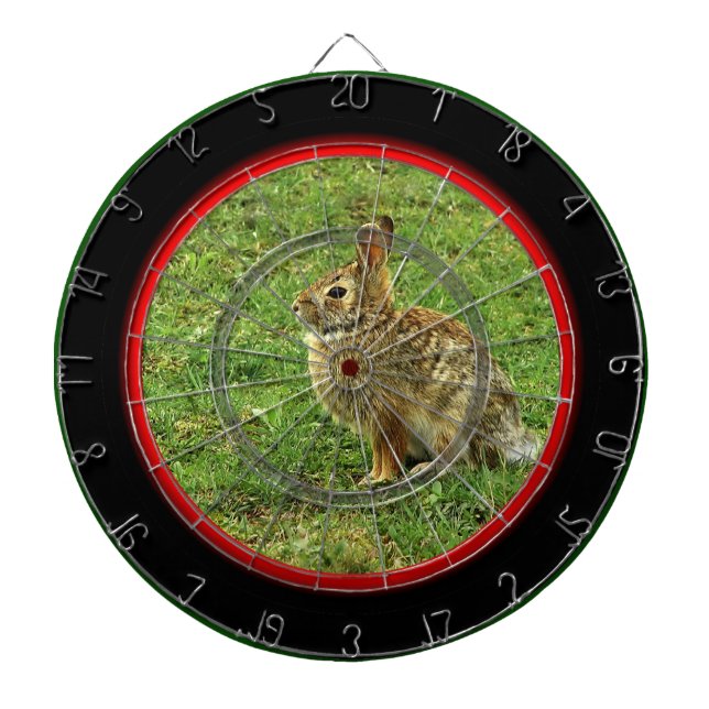 Rabbit Target Dartboard With Darts (Front)