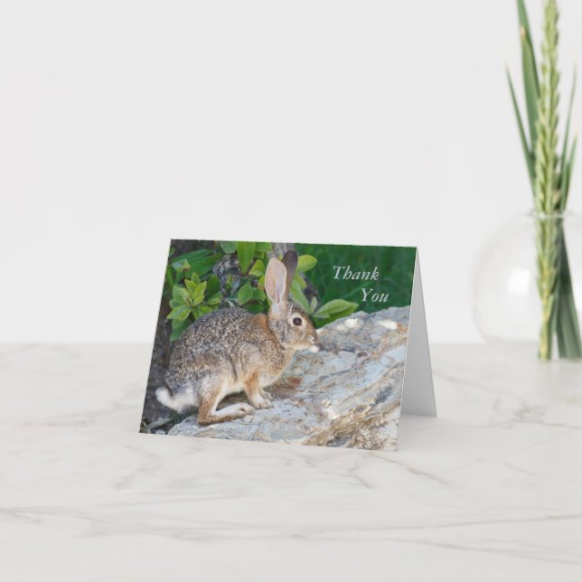 Rabbit Thank You Card (Front)